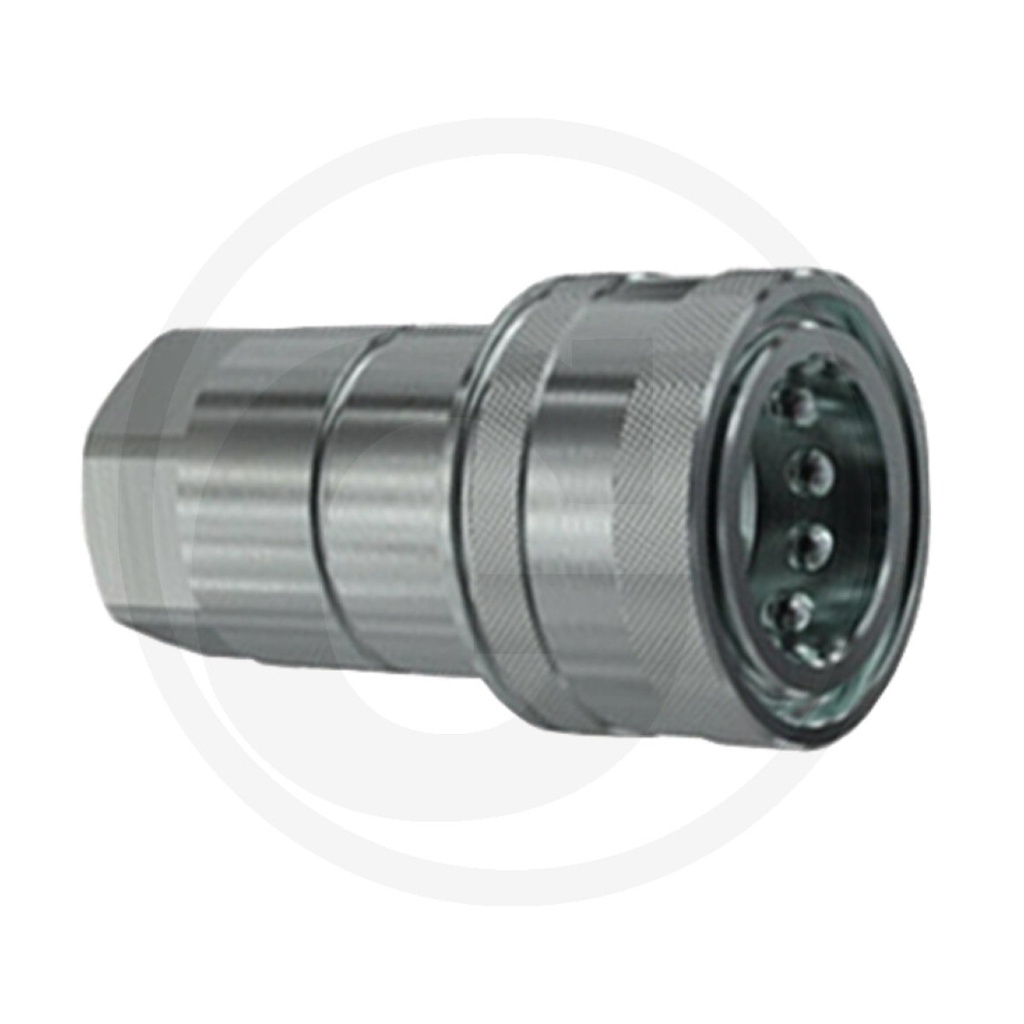 Faster Femmina NV filettatura interna 3/4" BSP